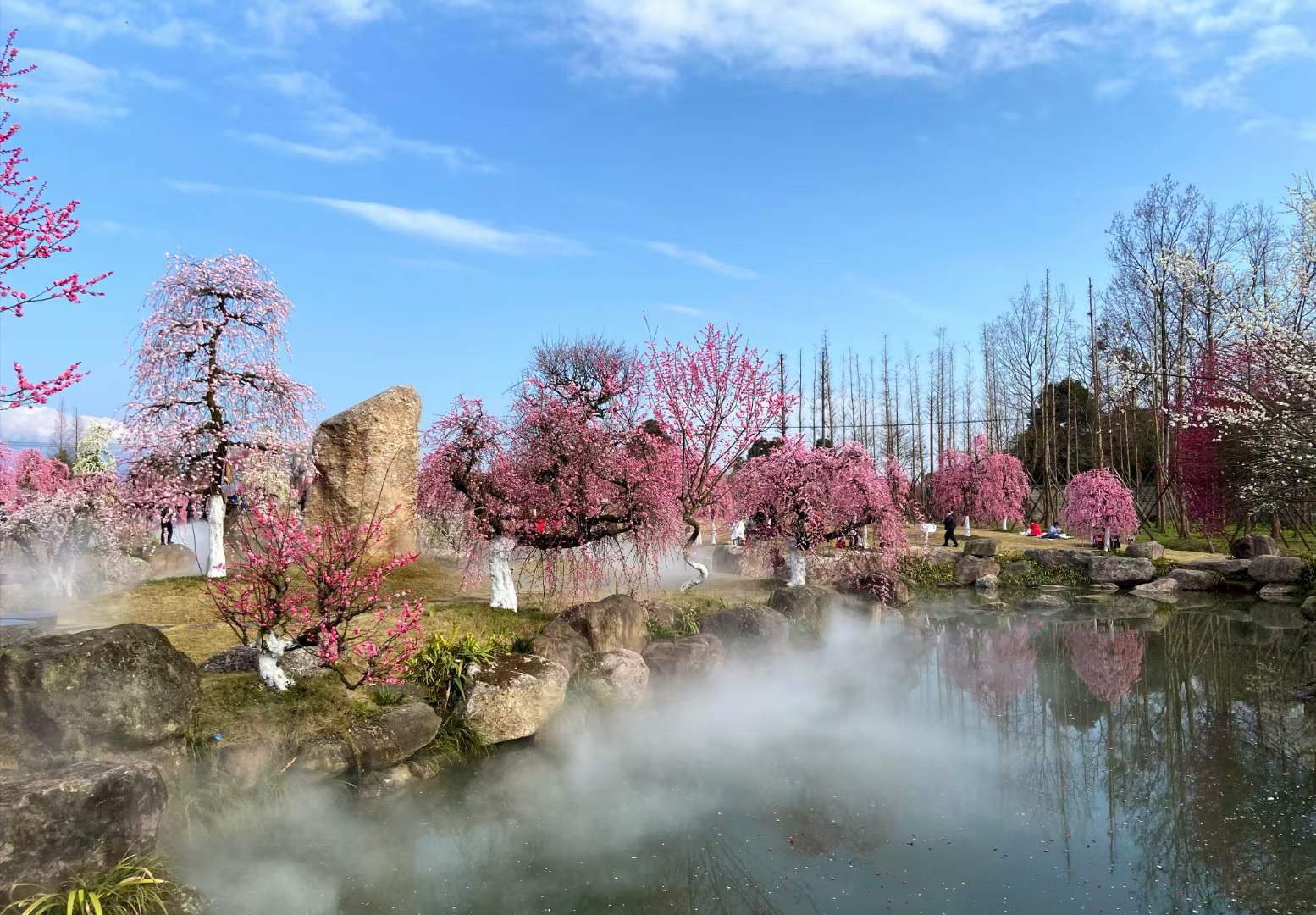 【问花村】梅花垂枝,海棠掠影,问花村花期如约而至!