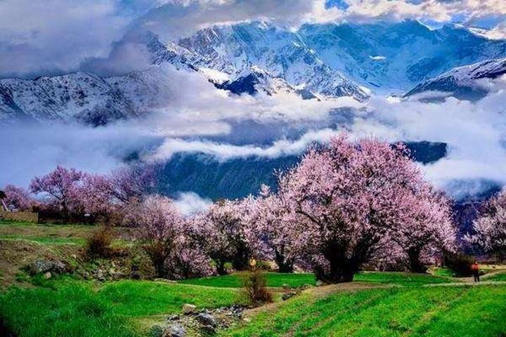 src=http___img1.qunarzz.com_travel_d1_1802_f8_e5f23f34ed2515b5.jpg_r_720x480x95_0f3a560b.jpg&refer=http___img1.qunarzz.jpg