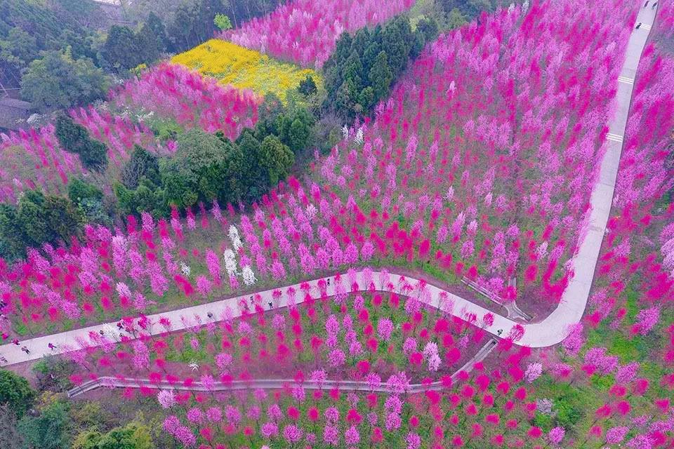 微信图片_20210303133353.jpg