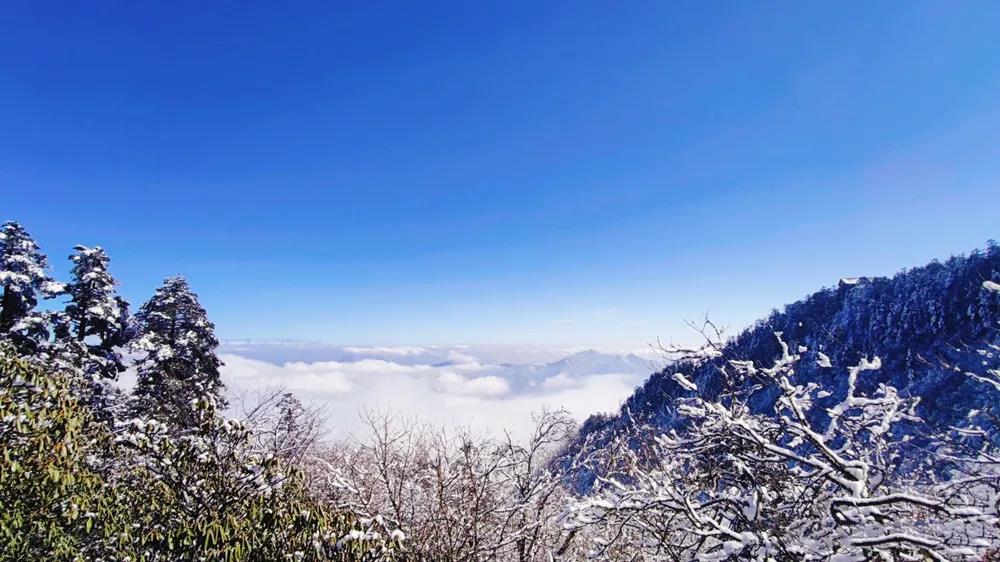 微信图片_20210304150339.jpg
