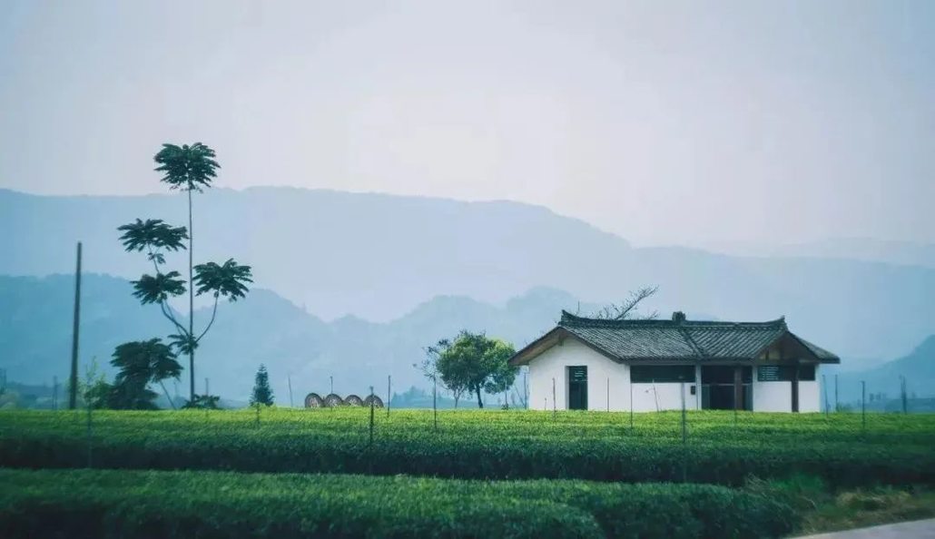 牛碾坪15.jpg
