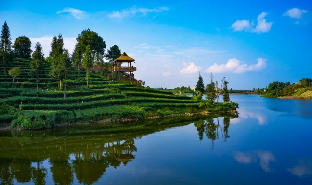 牛碾坪月亮湖万亩青幽茶园天高云阔清新静谧