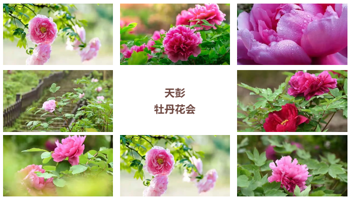 微信截图_20210323160818.png