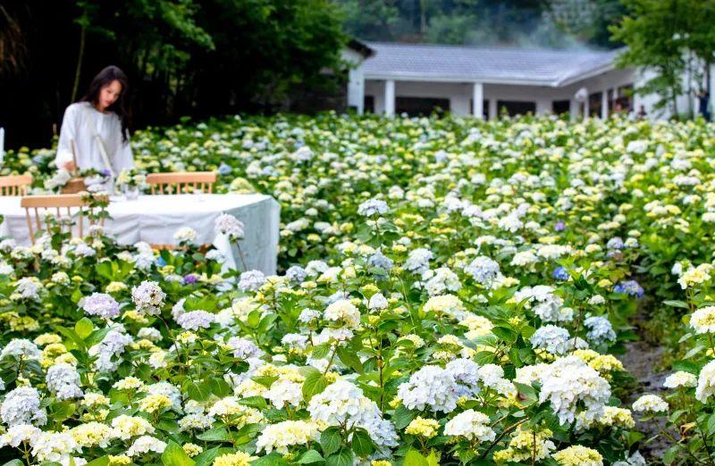 src=http___imagepphcloud.thepaper.cn_pph_image_132_546_831.jpg&refer=http___imagepphcloud.thepaper.jpg