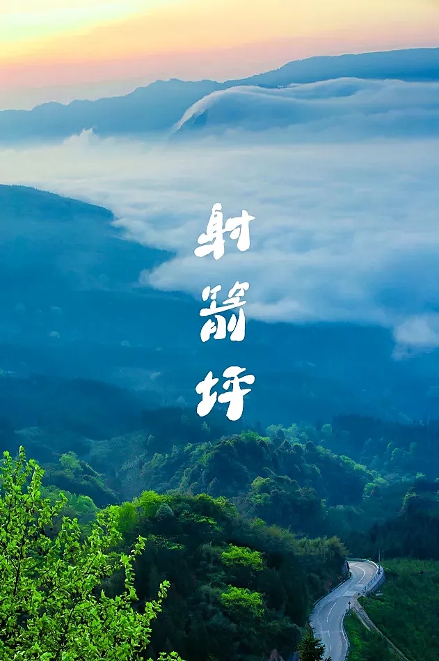 射箭萍.webp.jpg