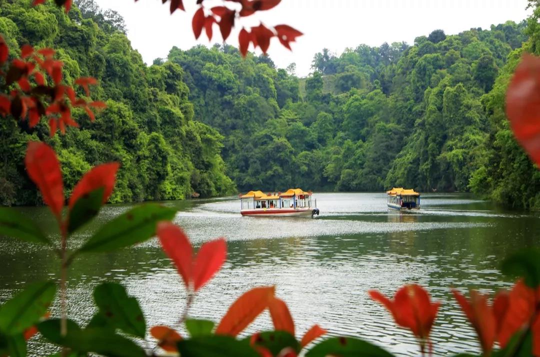 【五龙谷 朝阳湖】水韵蒲江,游船朝阳湖,消夏五龙谷