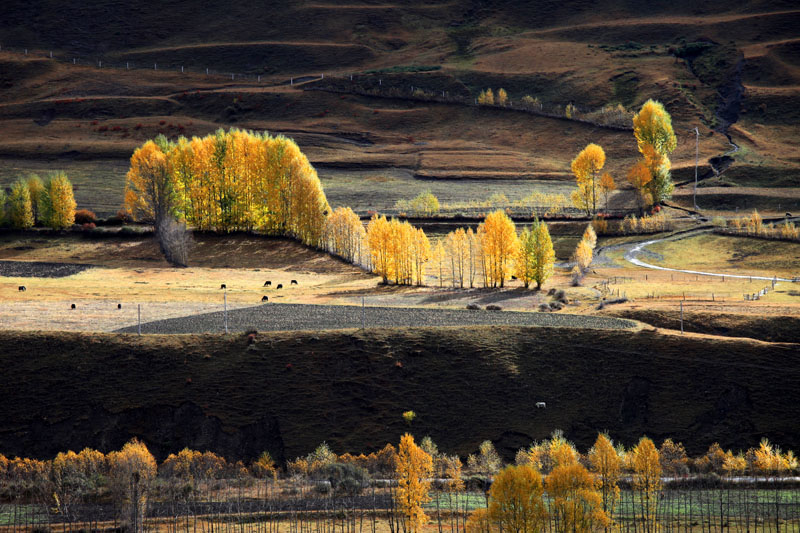 src=http___img3.xiangshu.com_Day_111130_21_446520_995047ff1ff4593.jpg&refer=http___img3.xiangshu.jpg