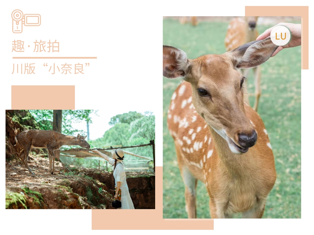 默认标题_横版配图_2021-10-18+10_00_28.jpeg