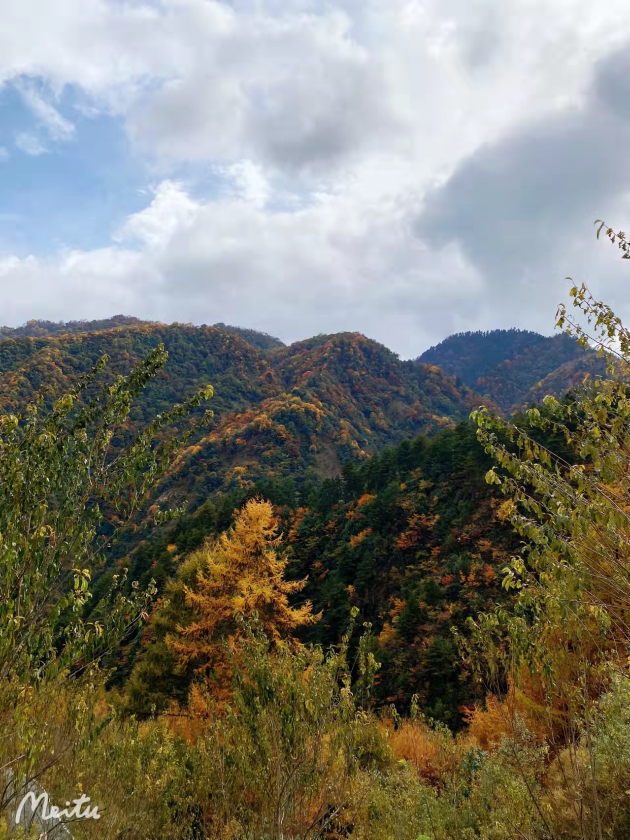 【卧龙老鸦山】走进川西氧吧,深山秘境徒步-lu趣户外