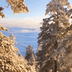 微信图片_20211208134555.gif