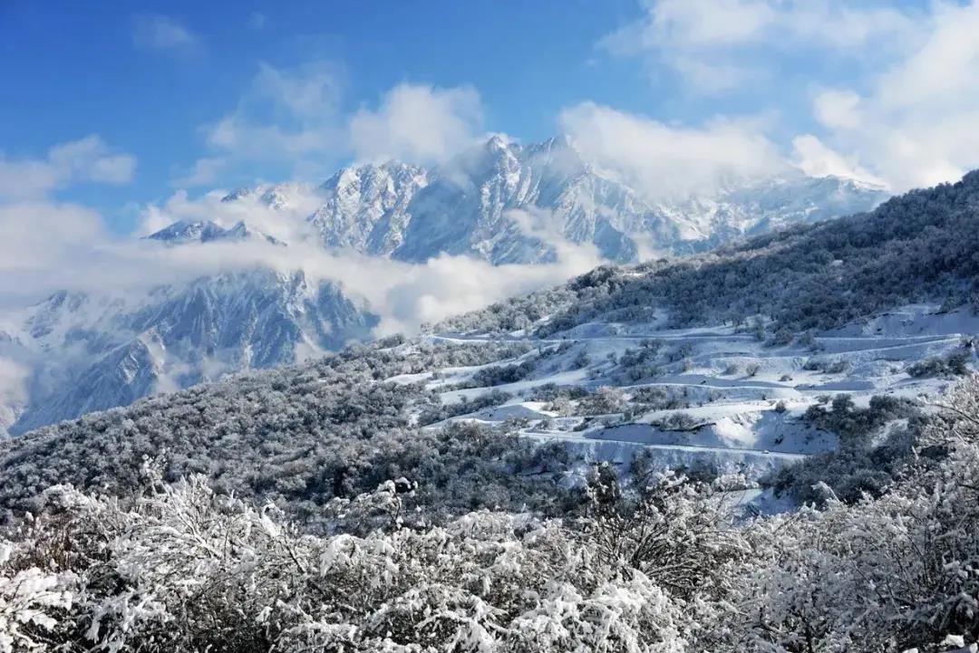 微信图片_20220111140938.jpg