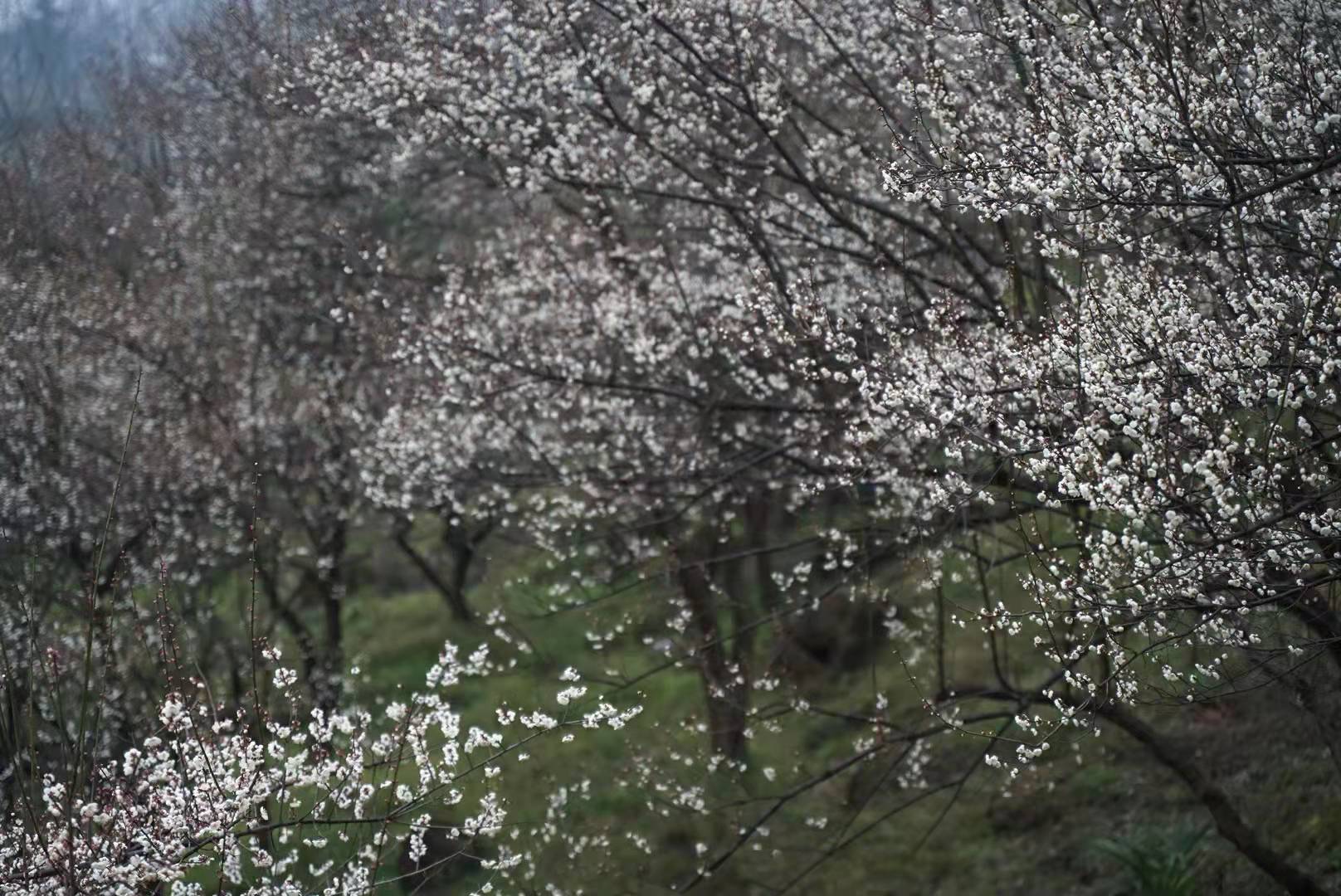 微信图片_20220118151056.jpg