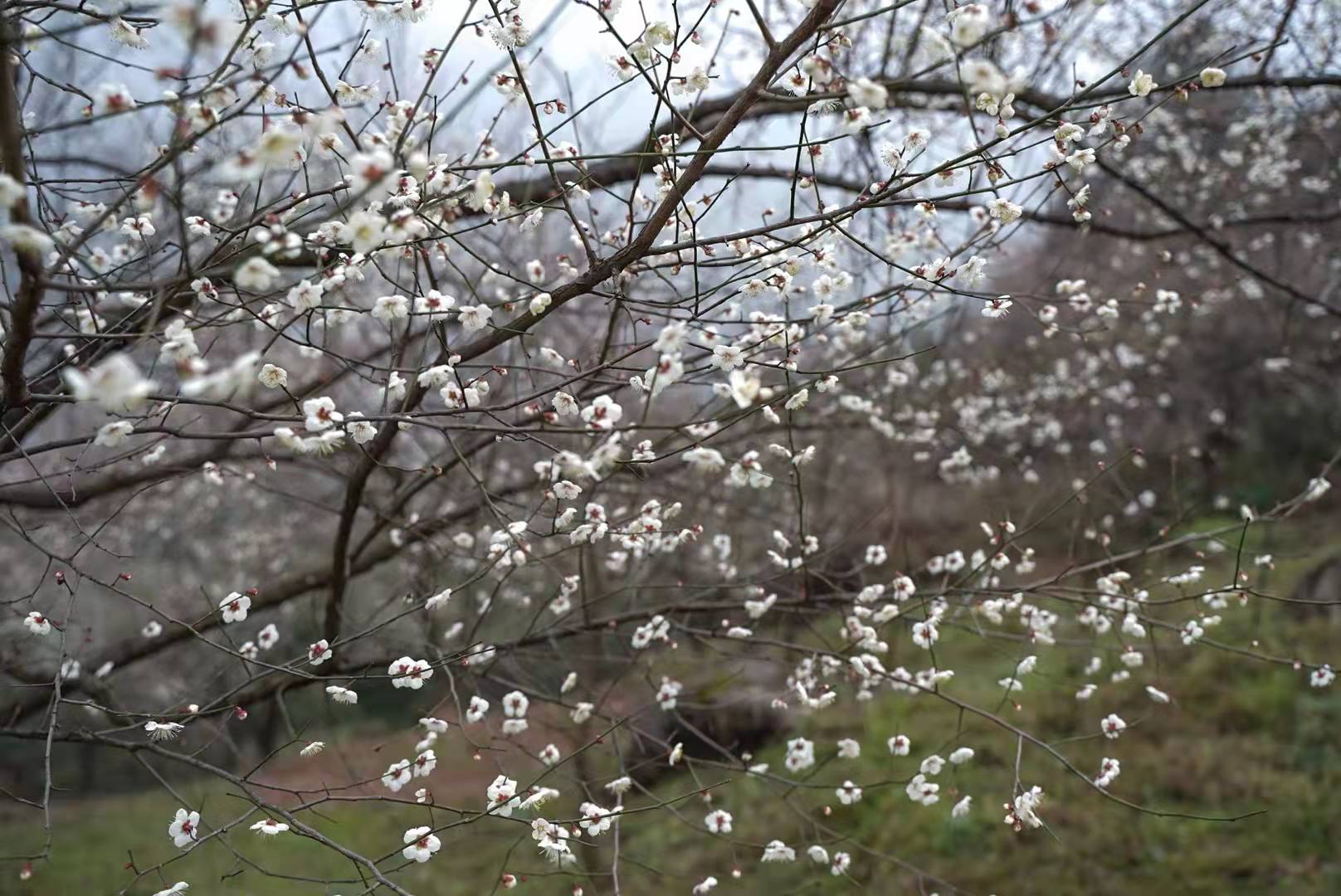 微信图片_20220118151102.jpg
