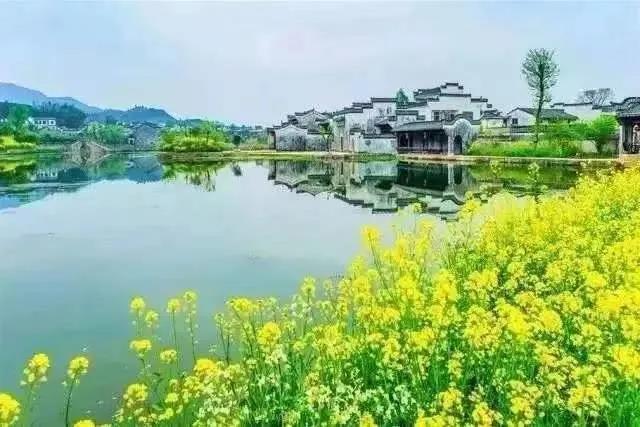 微信图片_20220206102604.jpg