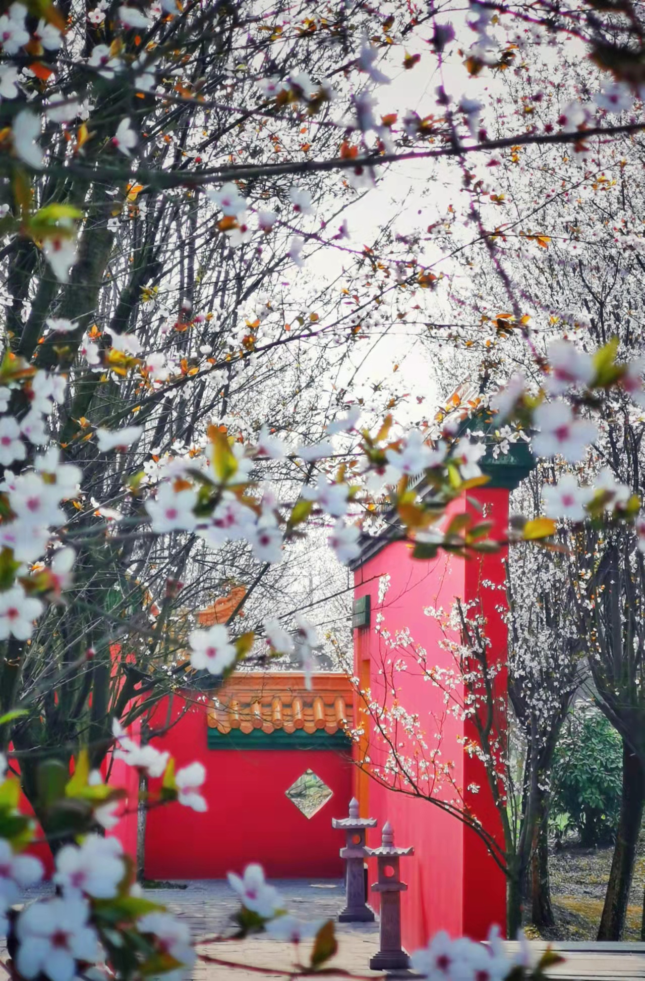 微信图片_20220310193321.jpg