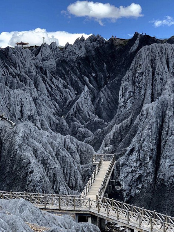 daofushimogongyuan3.jpg