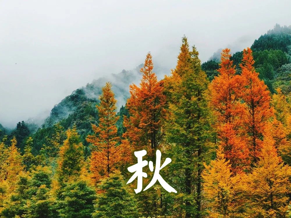 微信图片_20220419143058.jpg