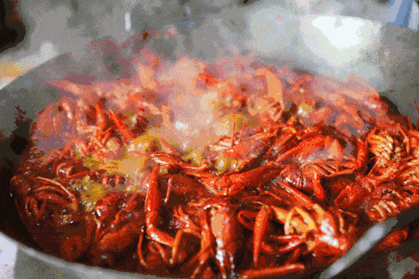 微信图片_20220422141435.gif