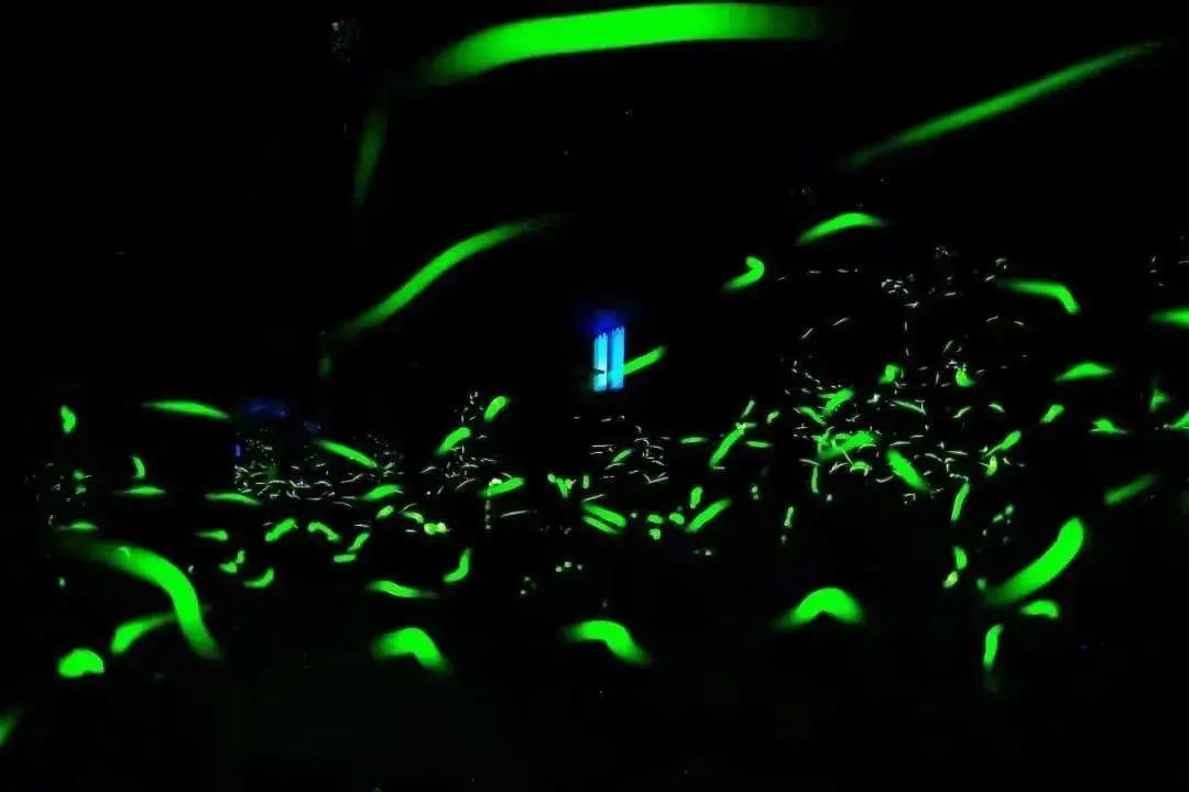 微信图片_20220422170741.jpg