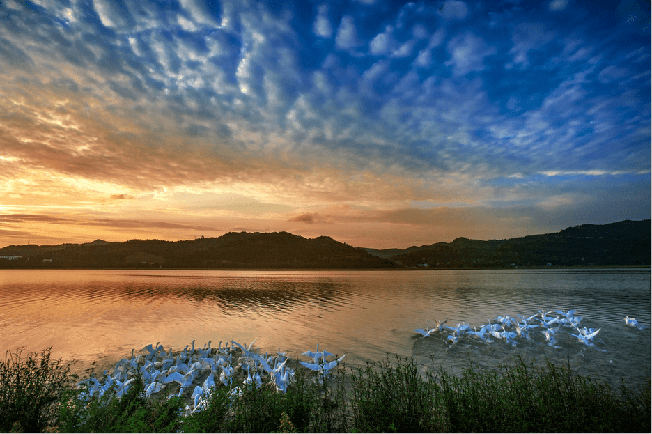 201505271710263032 (1).png