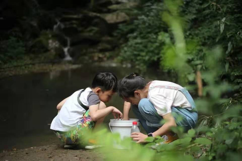 bcad1c4b8247f0476b237c3721c3e6d8.jpg