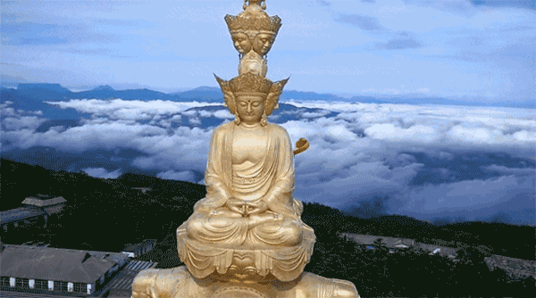 微信图片_20220826122332.gif
