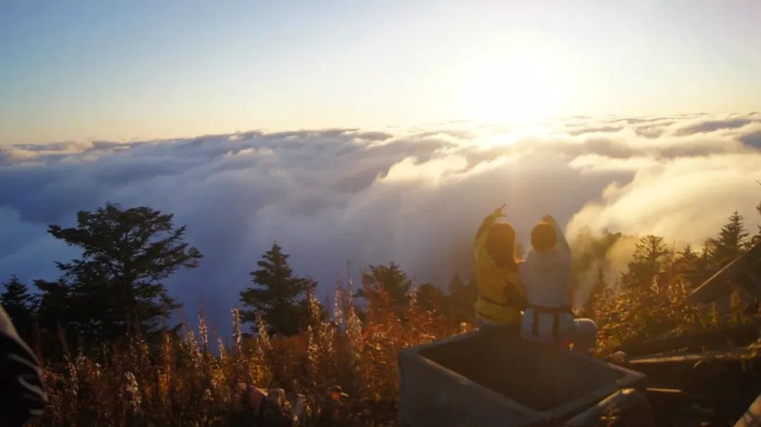 1666237454879100.jpg 微信图片_20221020114725.jpg