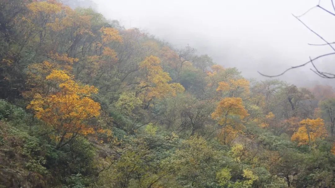 1666237500745987.jpg 微信图片_20221020114904.jpg