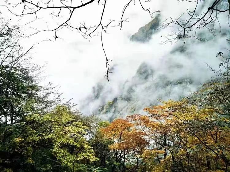 1666237575102831.jpg 微信图片_20221020114220.jpg