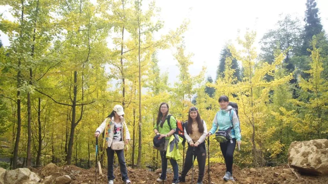 1666237580658084.jpg 微信图片_20221020114843.jpg