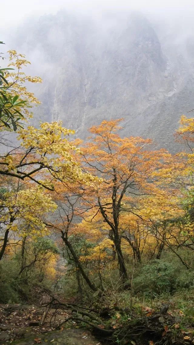 1666237591188439.jpg 微信图片_20221020114822.jpg