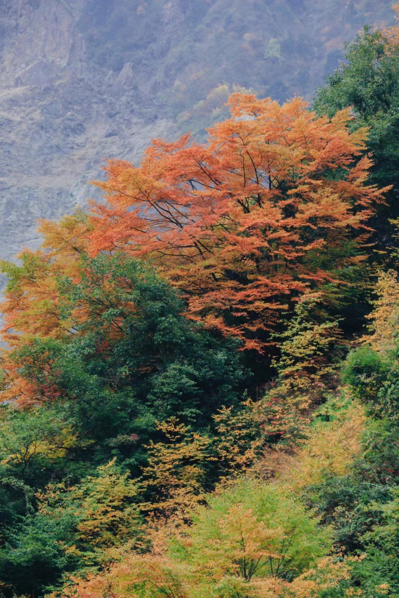 1666575702463588.jpg 4df9b2f751165f738e95ce9bd6238ab.jpg