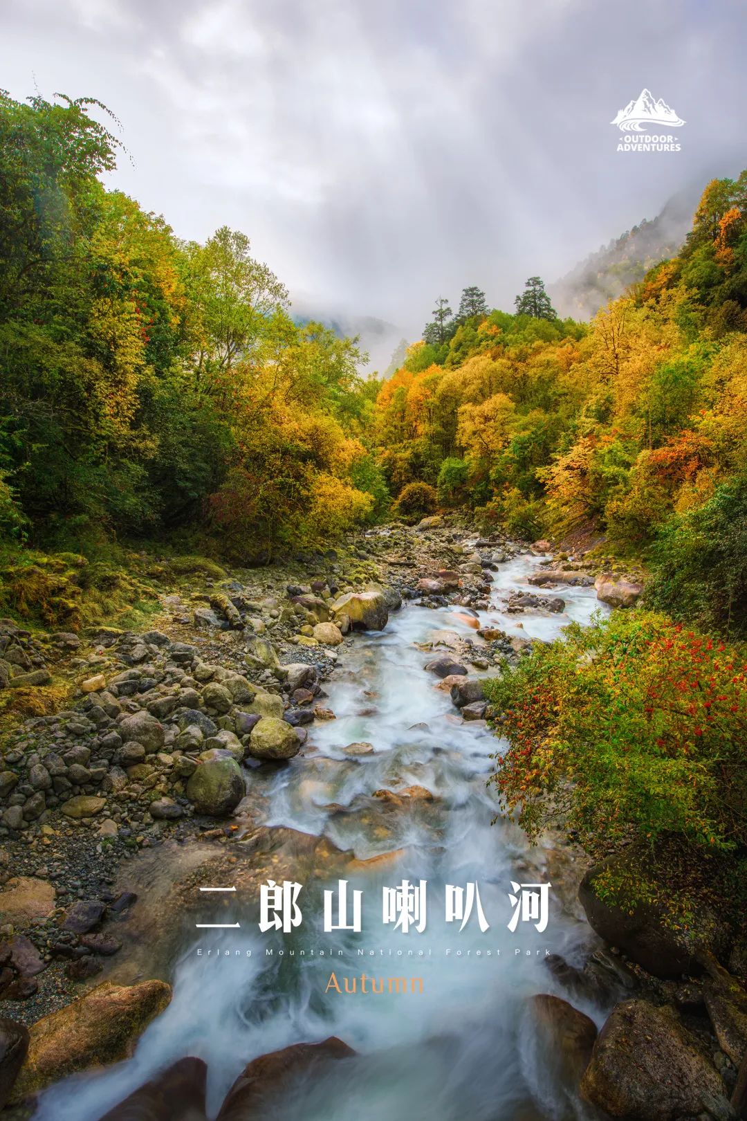 微信图片_20221102144821.jpg