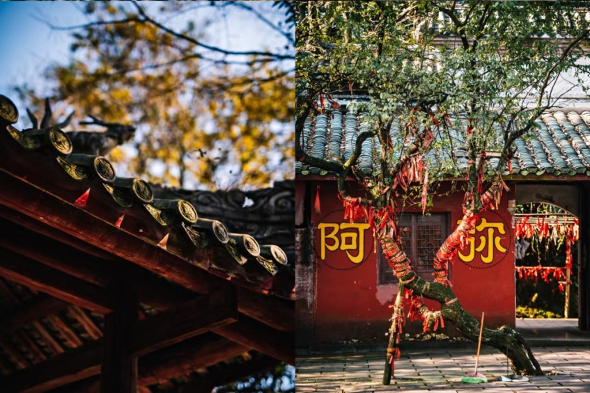 微信图片_20221103164315.png