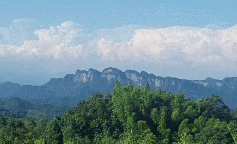微信图片_20221109104413.gif
