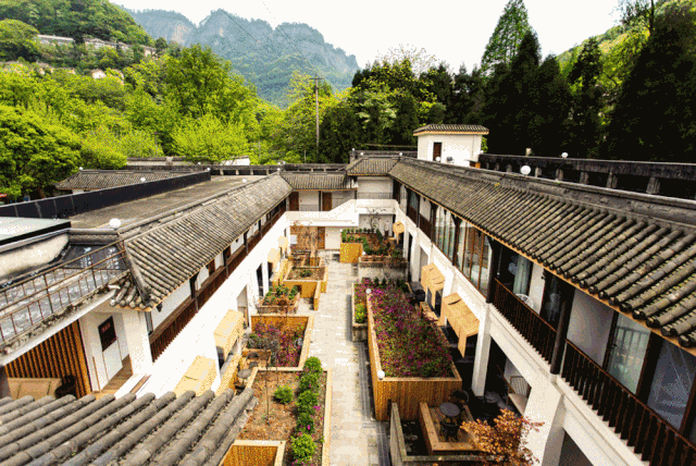 微信图片_20221109105551.gif