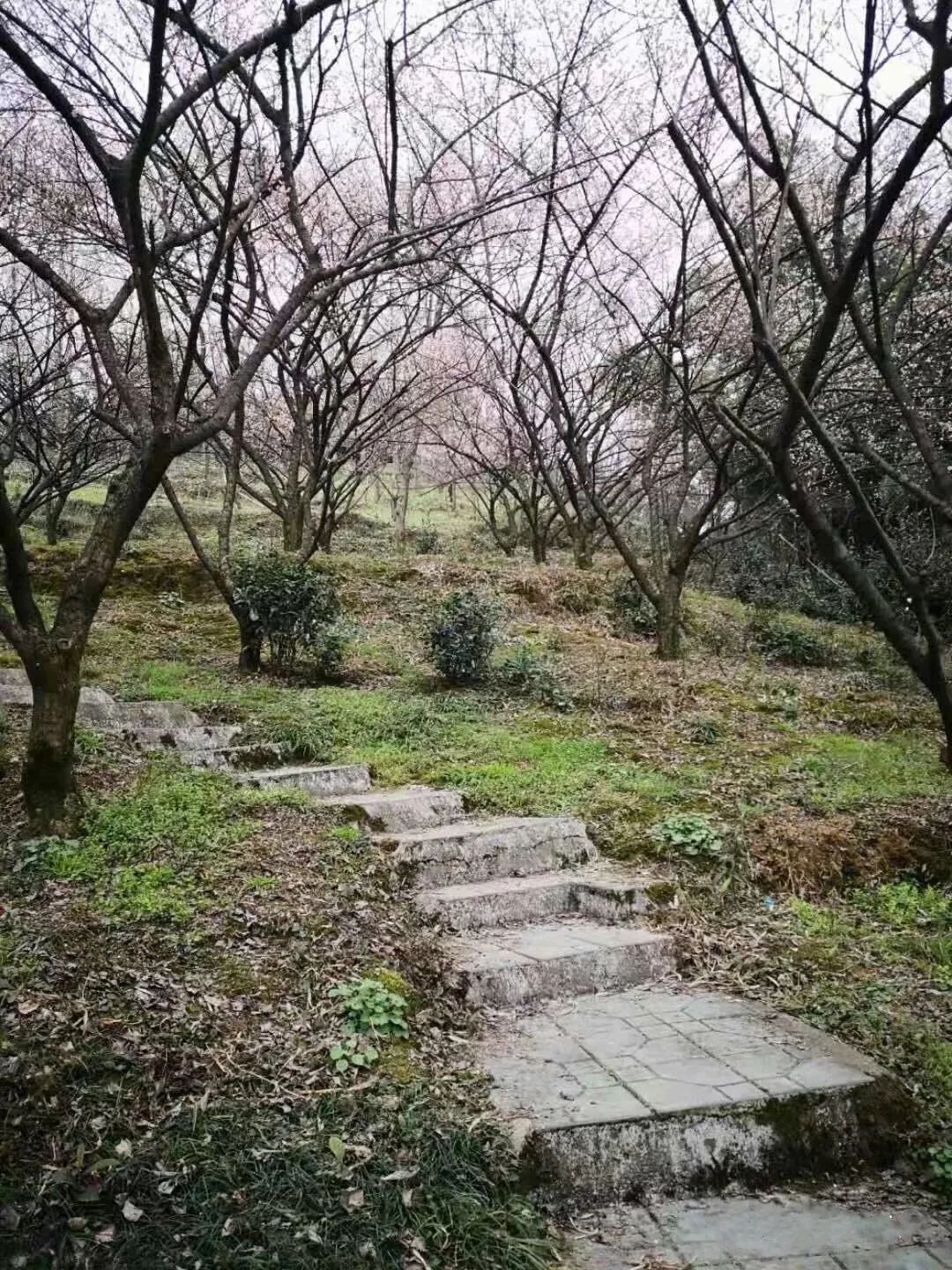 微信图片_20230130105356.jpg