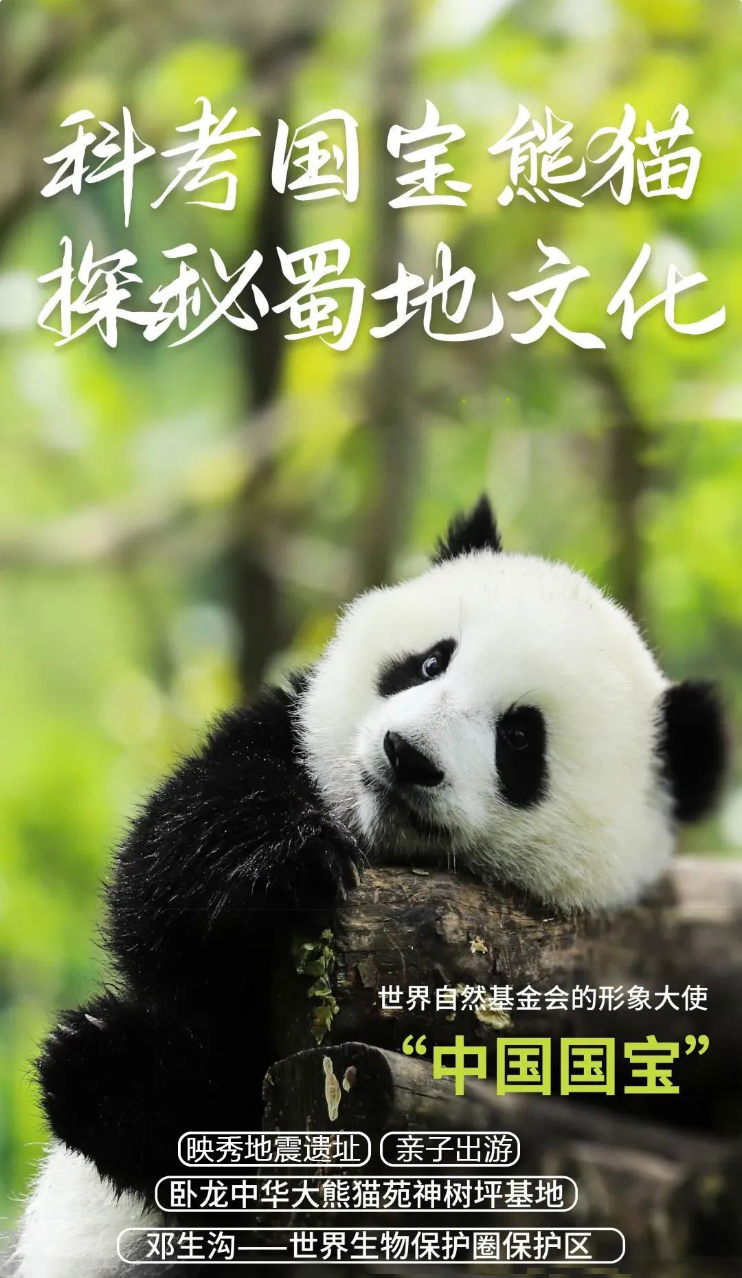 微信图片_20230602121959.jpg