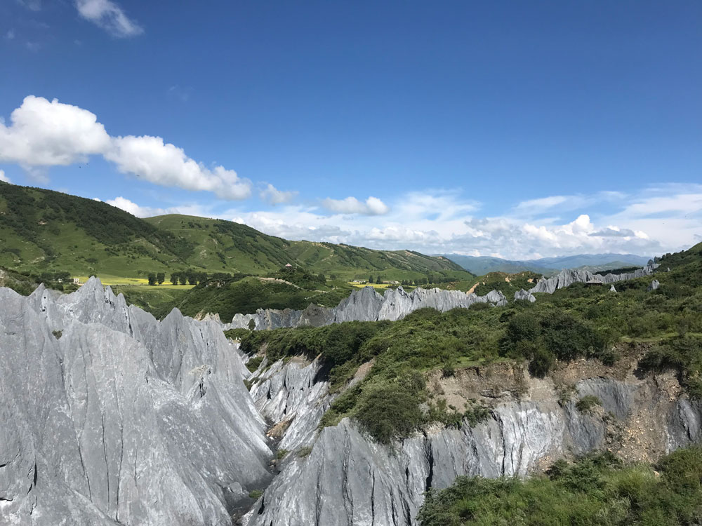 20210726-(29).jpg