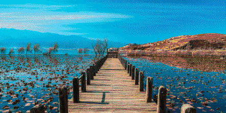 8e90528acacb446eae82d4893df8db81.gif