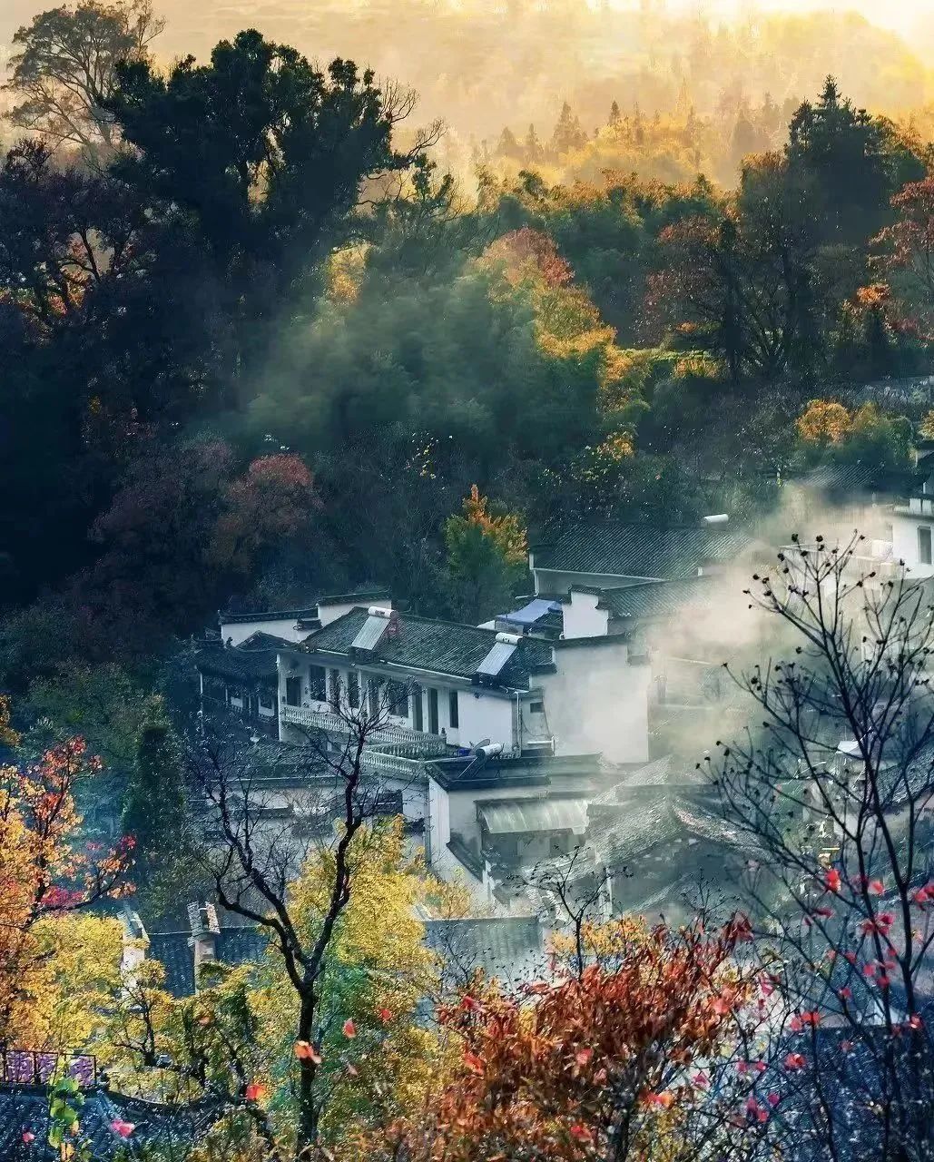 微信图片_20230926145649.jpg