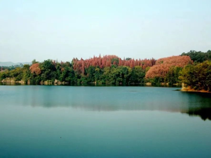 微信图片_20231201112225.jpg
