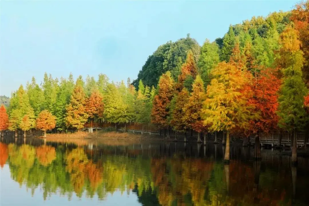 微信图片_20231201133020.png