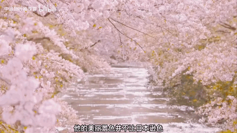 微信图片_20240204103644.gif