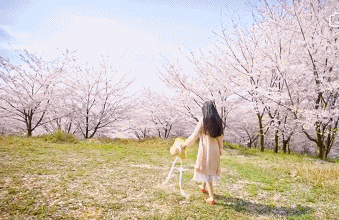 微信图片_20240204103640.gif