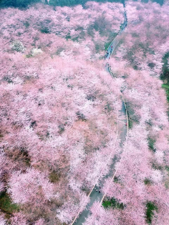 微信图片_20240204103648.png