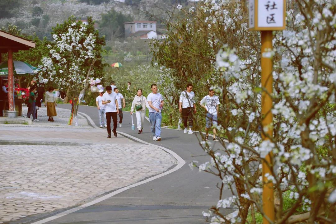 微信图片_20240307171535.jpg