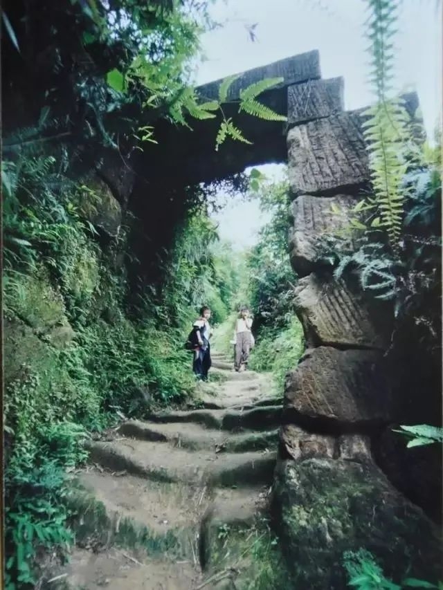 16.jpg