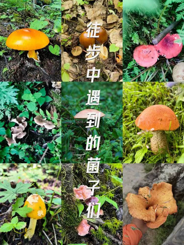 微信图片_20240704112920.jpg