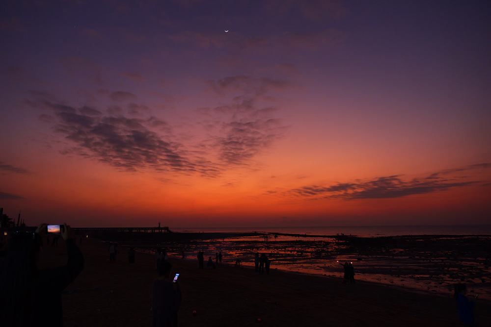 20250202榴莲-(8).jpg